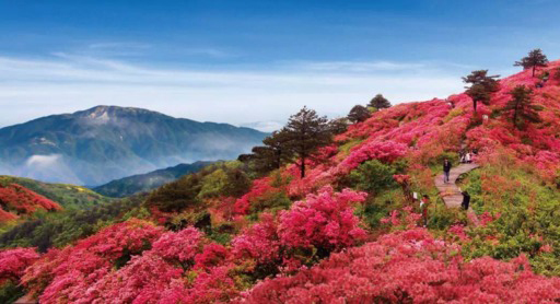 磐安高姥山，义乌人心目中的“莫干山”